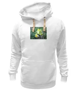Толстовка Wearcraft Premium унисекс