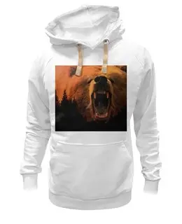 Толстовка Wearcraft Premium унисекс