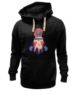 Заказать премиальную одежду в Москве. Толстовка Wearcraft Premium унисекс Alien Abduction от Павел Павел - готовые дизайны и нанесение принтов.