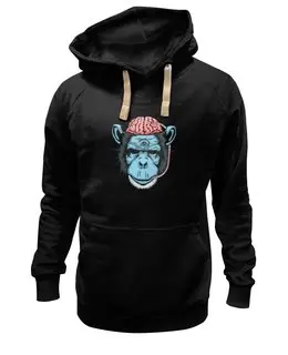 Заказать толстовку в Москве. Толстовка Wearcraft Premium унисекс BrainMonkey от priceless - готовые дизайны и нанесение принтов.