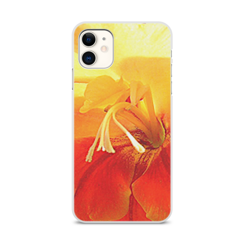 Заказать чехол для iPhone 11/11 Pro/11 Pro Max в Москве. Чехол для iPhone 11, объёмная печать Яркие краски. от Eva De Peron.  - готовые дизайны и нанесение принтов.
