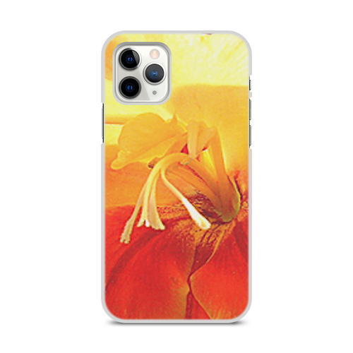 Заказать чехол для iPhone 11/11 Pro/11 Pro Max в Москве. Чехол для iPhone 11 Pro, объёмная печать Яркие эмоции. от Eva De Peron.  - готовые дизайны и нанесение принтов.