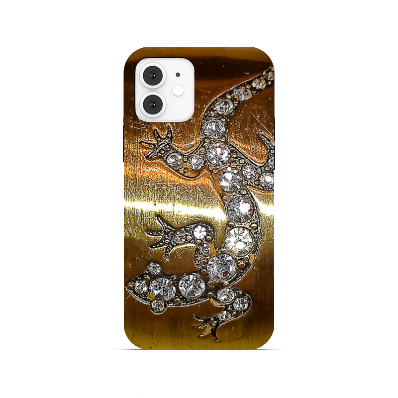 Printio Чехол для iPhone 12, объёмная печать Саламандра.