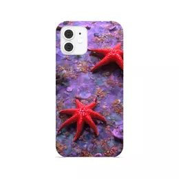 Заказать чехол для iPhone 12/12 Pro/12 Mini в Москве. Чехол для iPhone 12, объёмная печать Морские звезды от Дана Столыпина - готовые дизайны и нанесение принтов.