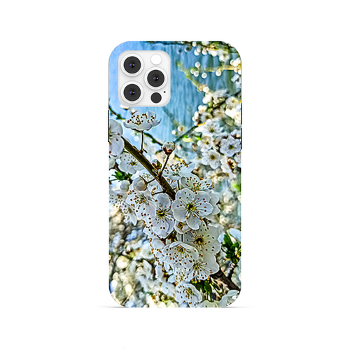 Заказать чехол для iPhone 12/12 Pro/12 Mini в Москве. Чехол для iPhone 12 Pro, объёмная печать Вишневый цвет. от Eva De Peron.  - готовые дизайны и нанесение принтов.