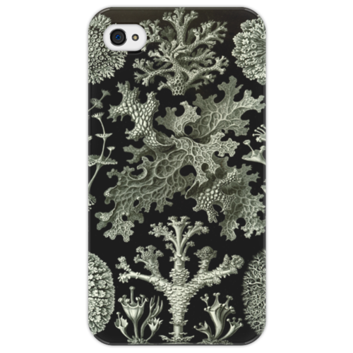 Заказать чехол для iPhone 4/4S в Москве. Чехол для iPhone 4/4S Лишайники (Lichenes, Ernst Haeckel) от Apfelbaum - готовые дизайны и нанесение принтов.
