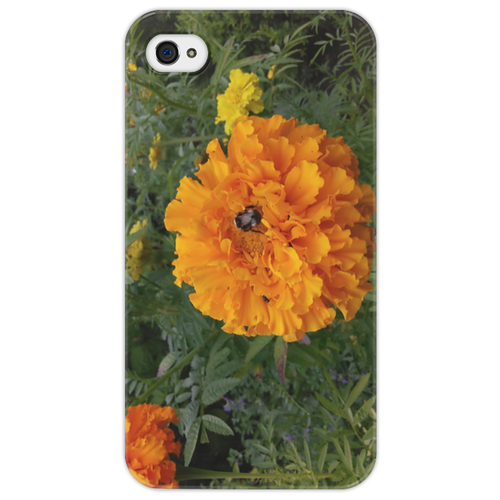Заказать чехол для iPhone 4/4S в Москве. Чехол для iPhone 4/4S Удивительный Алтай от FireFoxa - готовые дизайны и нанесение принтов.