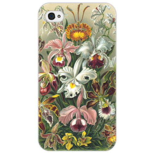 Заказать чехол для iPhone 4/4S в Москве. Чехол для iPhone 4/4S Орхидеи (Orchideae, Ernst Haeckel) от Apfelbaum - готовые дизайны и нанесение принтов.