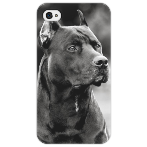 Заказать чехол для iPhone 4/4S в Москве. Чехол для iPhone 4/4S Pit Bull от grant - готовые дизайны и нанесение принтов.