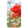 Заказать чехол для iPhone 4/4S в Москве. Чехол для iPhone 4/4S цветы от annet0897 - готовые дизайны и нанесение принтов.