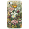 Заказать чехол для iPhone 4/4S в Москве. Чехол для iPhone 4/4S Орхидеи (Orchideae, Ernst Haeckel) от Apfelbaum - готовые дизайны и нанесение принтов.