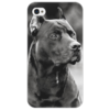 Заказать чехол для iPhone 4/4S в Москве. Чехол для iPhone 4/4S Pit Bull от grant - готовые дизайны и нанесение принтов.