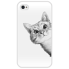 Заказать чехол для iPhone 4/4S в Москве. Чехол для iPhone 4/4S Любопытный кот от mug-shop - готовые дизайны и нанесение принтов.