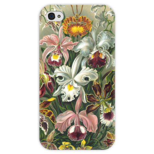Заказать чехол для iPhone 4/4S в Москве. Чехол для iPhone 4 глянцевый, с полной запечаткой Орхидеи (Orchideae, Ernst Haeckel) от Apfelbaum - готовые дизайны и нанесение принтов.
