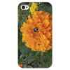 Заказать чехол для iPhone 4/4S в Москве. Чехол для iPhone 4 глянцевый, с полной запечаткой Удивительный Алтай от FireFoxa - готовые дизайны и нанесение принтов.
