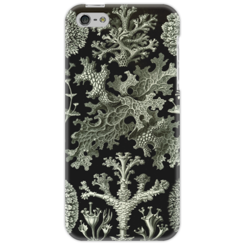 Заказать чехол для iPhone 5/5S в Москве. Чехол для iPhone 5 Лишайники (Lichenes, Ernst Haeckel) от Apfelbaum - готовые дизайны и нанесение принтов.