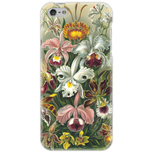 Заказать чехол для iPhone 5/5S в Москве. Чехол для iPhone 5 Орхидеи (Orchideae, Ernst Haeckel) от Apfelbaum - готовые дизайны и нанесение принтов.