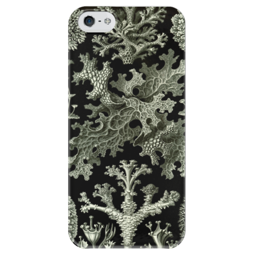 Заказать чехол для iPhone 5/5S в Москве. Чехол для iPhone 5 глянцевый, с полной запечаткой Лишайники (Lichenes, Ernst Haeckel) от Apfelbaum - готовые дизайны и нанесение принтов.