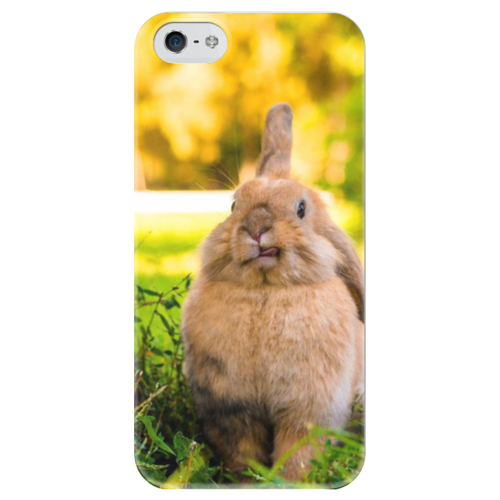 Заказать чехол для iPhone 5/5S в Москве. Чехол для iPhone 5 глянцевый, с полной запечаткой Кролик от Татьяна - готовые дизайны и нанесение принтов.