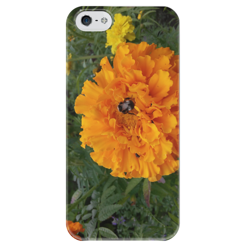 Заказать чехол для iPhone 5/5S в Москве. Чехол для iPhone 5 глянцевый, с полной запечаткой Удивительный Алтай от FireFoxa - готовые дизайны и нанесение принтов.