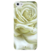 Заказать чехол для iPhone 5/5S в Москве. Чехол для iPhone 5 глянцевый, с полной запечаткой Белая роза от Inna Novitskaya - готовые дизайны и нанесение принтов.