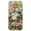 Заказать чехол для iPhone 5/5S в Москве. Чехол для iPhone 5 глянцевый, с полной запечаткой Орхидеи (Orchideae, Ernst Haeckel) от Apfelbaum - готовые дизайны и нанесение принтов.