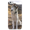 Заказать чехол для iPhone 5/5S в Москве. Чехол для iPhone 5 глянцевый, с полной запечаткой Хаски от Татьяна - готовые дизайны и нанесение принтов.