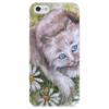 Заказать чехол для iPhone 5/5S в Москве. Чехол для iPhone 5 глянцевый, с полной запечаткой  Ромашковый кот  от Aleksa - готовые дизайны и нанесение принтов.