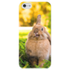 Заказать чехол для iPhone 5/5S в Москве. Чехол для iPhone 5 глянцевый, с полной запечаткой Кролик от Татьяна - готовые дизайны и нанесение принтов.
