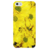 Заказать чехол для iPhone 5/5S в Москве. Чехол для iPhone 5 глянцевый, с полной запечаткой Жёлтые хризантемы от Aleksa - готовые дизайны и нанесение принтов.