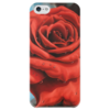 Заказать чехол для iPhone 5/5S в Москве. Чехол для iPhone 5 глянцевый, с полной запечаткой Красная роза от Inna Novitskaya - готовые дизайны и нанесение принтов.
