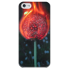 Заказать чехол для iPhone 5/5S в Москве. Чехол для iPhone 5 глянцевый, с полной запечаткой Горящий одуванчик от Таня Чулюкина - готовые дизайны и нанесение принтов.