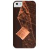 Заказать чехол для iPhone 5/5S в Москве. Чехол для iPhone 5 глянцевый, с полной запечаткой "Звезда влечения" от Une Hirondelle - готовые дизайны и нанесение принтов.