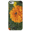 Заказать чехол для iPhone 5/5S в Москве. Чехол для iPhone 5 глянцевый, с полной запечаткой Удивительный Алтай от FireFoxa - готовые дизайны и нанесение принтов.