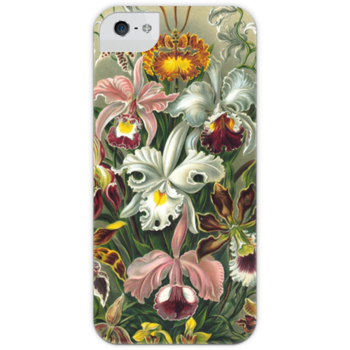 Заказать чехол для iPhone 5/5S в Москве. Чехол для iPhone 5 с подставкой, с полной запечаткой Орхидеи (Orchideae, Ernst Haeckel) от Apfelbaum - готовые дизайны и нанесение принтов.
