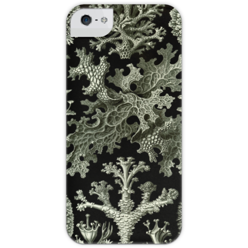 Заказать чехол для iPhone 5/5S в Москве. Чехол для iPhone 5 с подставкой, с полной запечаткой Лишайники (Lichenes, Ernst Haeckel) от Apfelbaum - готовые дизайны и нанесение принтов.