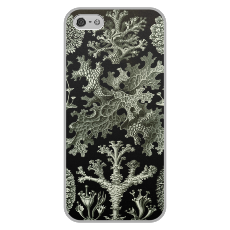 Printio Чехол для iPhone 5/5S, объёмная печать Лишайники (lichenes, ernst haeckel) printio чехол для samsung galaxy s8 объёмная печать лишайники lichenes ernst haeckel