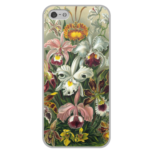 Заказать чехол для iPhone 5/5S в Москве. Чехол для iPhone 5/5S, объёмная печать Орхидеи (Orchideae, Ernst Haeckel) от Apfelbaum - готовые дизайны и нанесение принтов.