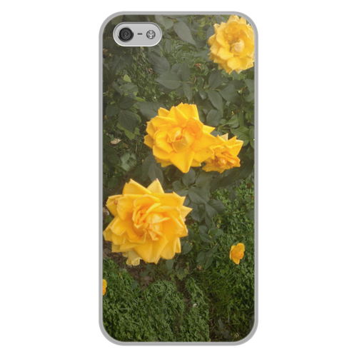 Заказать чехол для iPhone 5/5S в Москве. Чехол для iPhone 5/5S, объёмная печать Осенние розы от Лана  - готовые дизайны и нанесение принтов.
