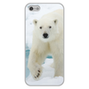 Заказать чехол для iPhone 5/5S в Москве. Чехол для iPhone 5/5S, объёмная печать Белый медведь от THE_NISE  - готовые дизайны и нанесение принтов.