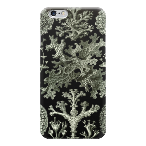 Заказать чехол для iPhone 6/6 Plus в Москве. Чехол для iPhone 6 глянцевый Лишайники (Lichenes, Ernst Haeckel) от Apfelbaum - готовые дизайны и нанесение принтов.