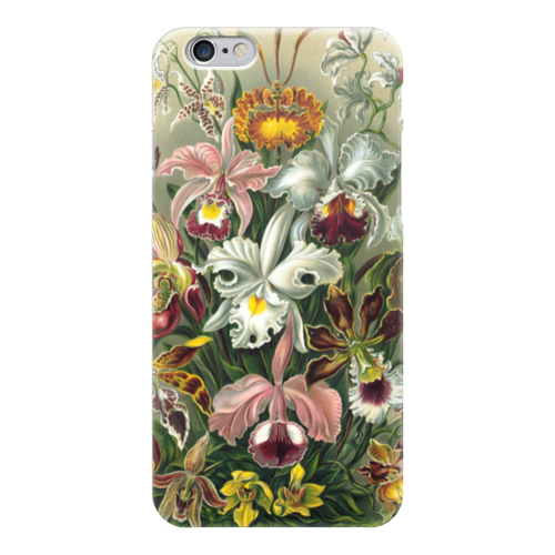 Заказать чехол для iPhone 6/6 Plus в Москве. Чехол для iPhone 6 глянцевый Орхидеи (Orchideae, Ernst Haeckel) от Apfelbaum - готовые дизайны и нанесение принтов.
