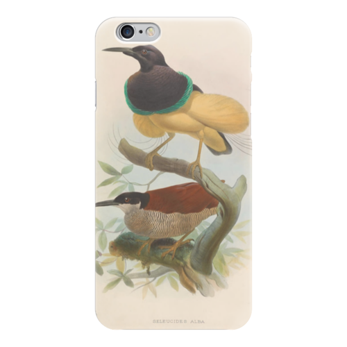 Заказать чехол для iPhone 6/6 Plus в Москве. Чехол для iPhone 6 глянцевый Нитчатая райская птица от trend - готовые дизайны и нанесение принтов.