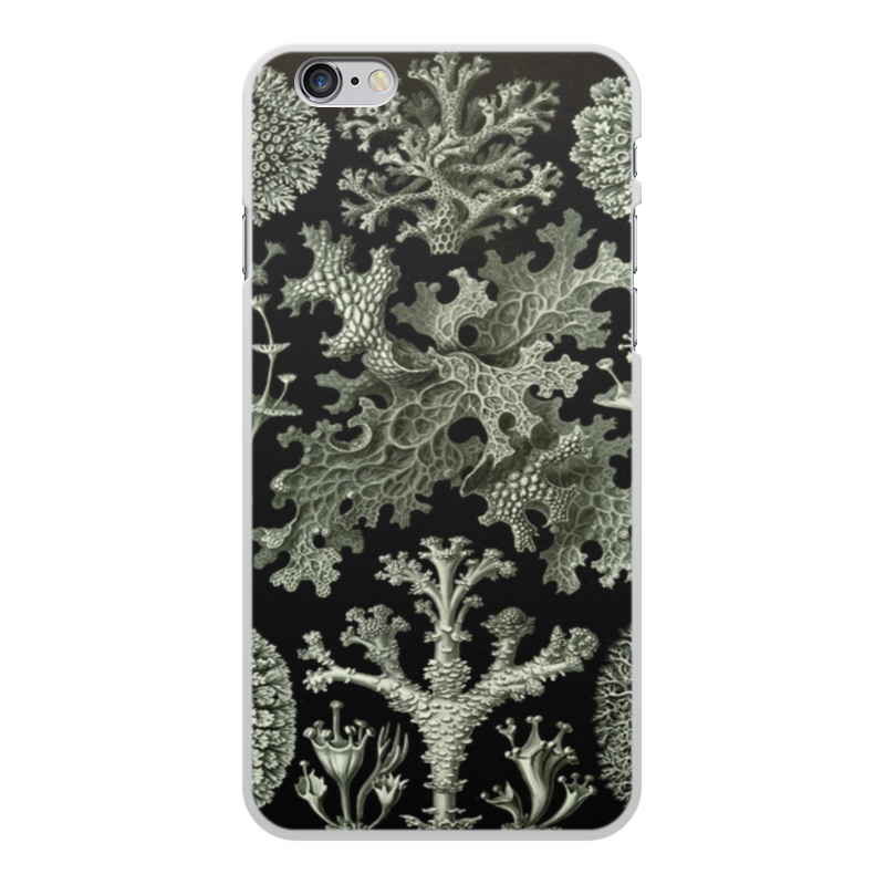 Printio Чехол для iPhone 6 Plus, объёмная печать Лишайники (lichenes, ernst haeckel)