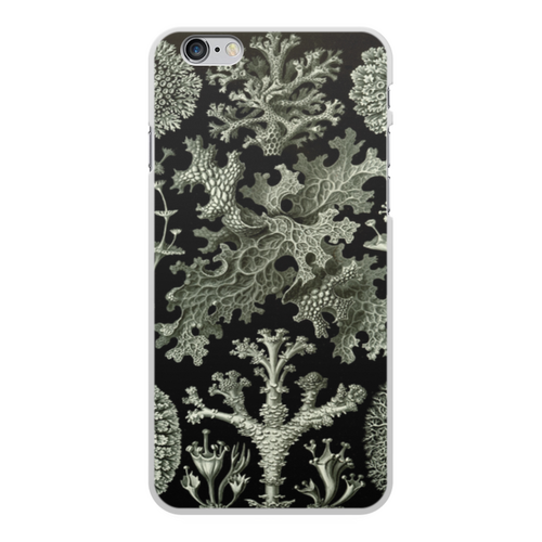 Заказать чехол для iPhone 6/6 Plus в Москве. Чехол для iPhone 6 Plus, объёмная печать Лишайники (Lichenes, Ernst Haeckel) от Apfelbaum - готовые дизайны и нанесение принтов.