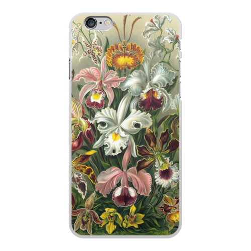 Заказать чехол для iPhone 6/6 Plus в Москве. Чехол для iPhone 6 Plus, объёмная печать Орхидеи (Orchideae, Ernst Haeckel) от Apfelbaum - готовые дизайны и нанесение принтов.