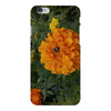 Заказать чехол для iPhone 6/6 Plus в Москве. Чехол для iPhone 6 Plus глянцевый Удивительный Алтай от FireFoxa - готовые дизайны и нанесение принтов.