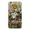 Заказать чехол для iPhone 6/6 Plus в Москве. Чехол для iPhone 6 Plus глянцевый Орхидеи (Orchideae, Ernst Haeckel) от Apfelbaum - готовые дизайны и нанесение принтов.