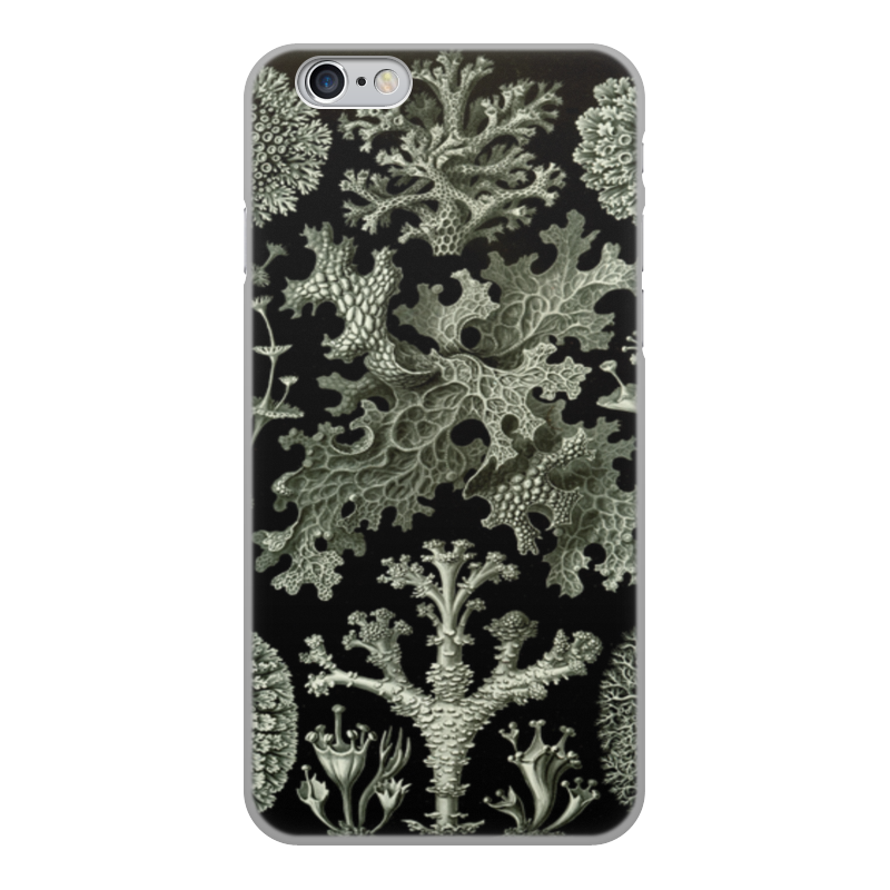 Printio Чехол для iPhone 6, объёмная печать Лишайники (lichenes, ernst haeckel) printio чехол для iphone 8 plus объёмная печать колибри эрнста геккеля