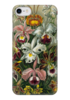 Заказать чехол для iPhone 7/7 Plus в Москве. Чехол для iPhone 7 глянцевый Орхидеи (Orchideae, Ernst Haeckel) от Apfelbaum - готовые дизайны и нанесение принтов.